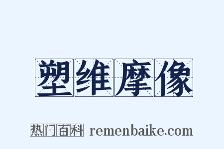 塑维摩像是什么意思的图片